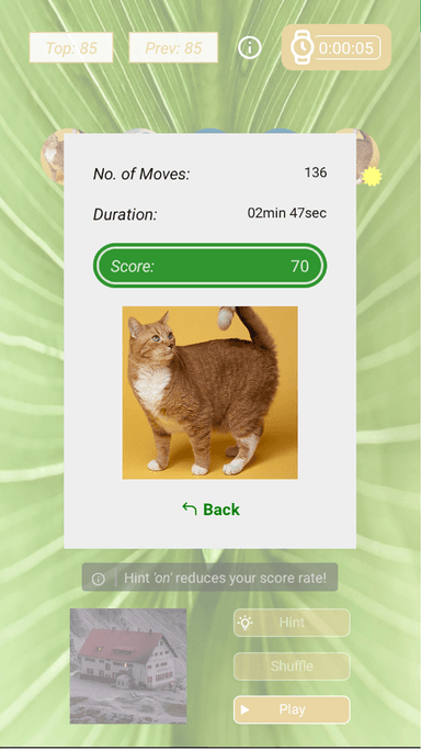 arrange puzzle screenshot