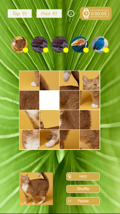 arrange puzzle screenshot